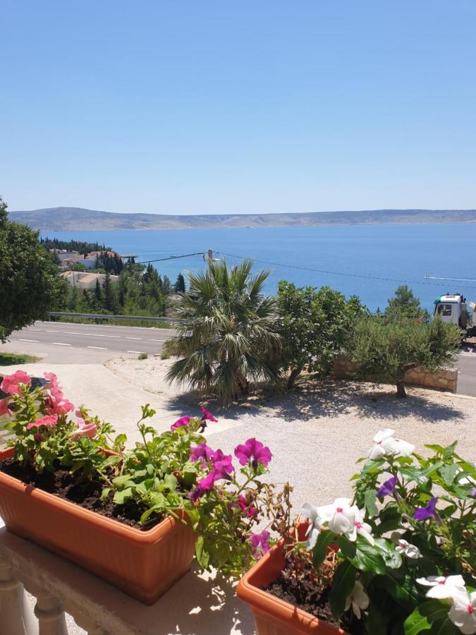 Apartmani Goga ستاريغغاد باكلينتسا المظهر الخارجي الصورة
