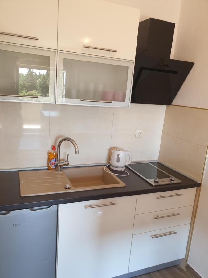 Apartmani Goga ستاريغغاد باكلينتسا المظهر الخارجي الصورة