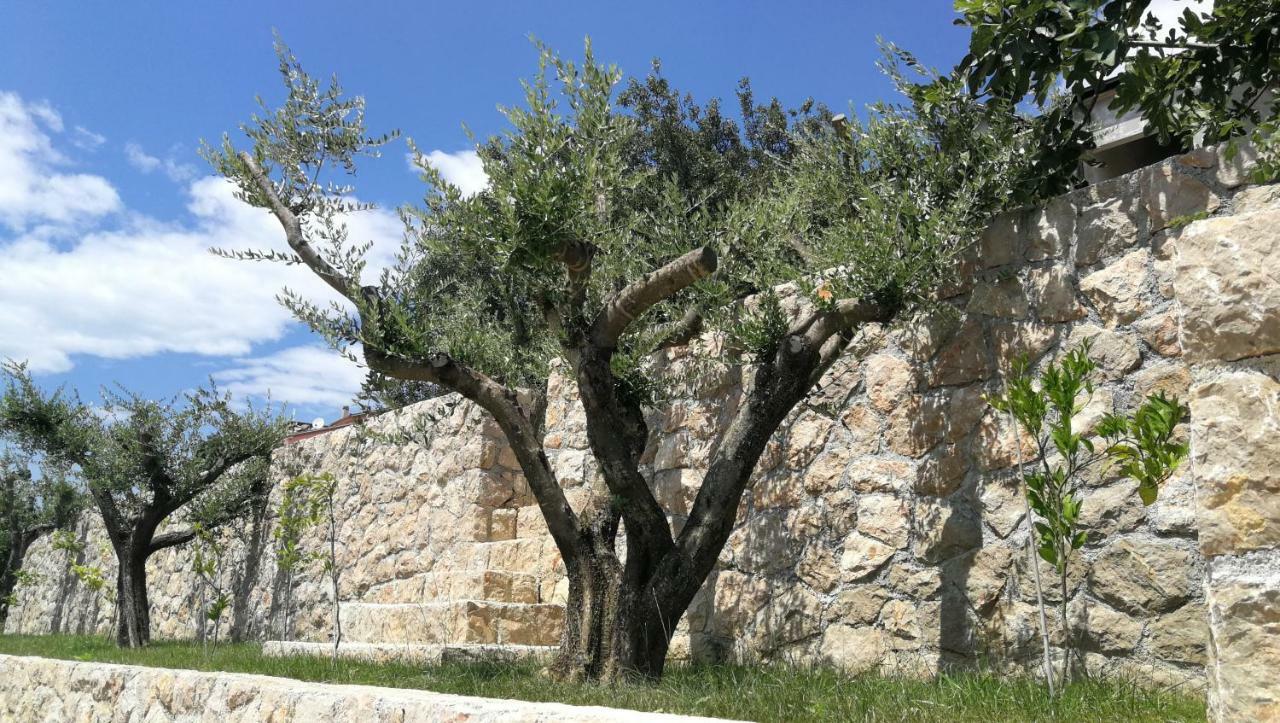 Apartmani Goga ستاريغغاد باكلينتسا المظهر الخارجي الصورة