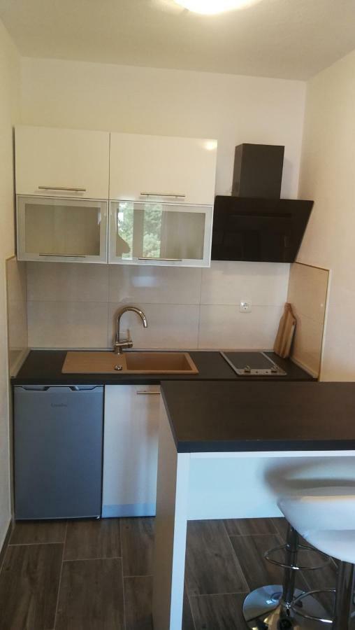 Apartmani Goga ستاريغغاد باكلينتسا المظهر الخارجي الصورة