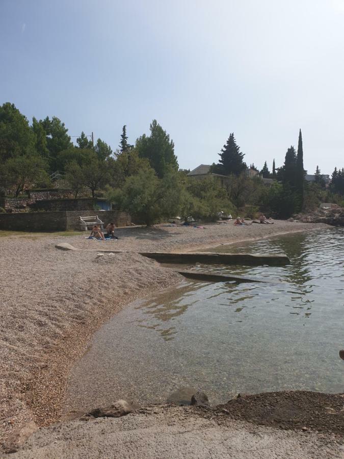 Apartmani Goga ستاريغغاد باكلينتسا المظهر الخارجي الصورة
